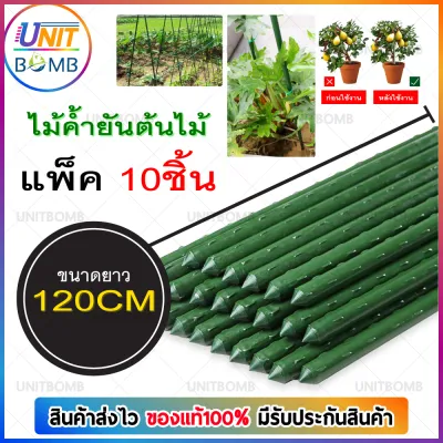 UNITBOMB ไม้ค้ำต้นไม้ ยาว 60 - 180 ซม. หนา 11 มม. ไม้ค้ำยันต้นไม้ ค้างต้นไม้ ซุ้มต้นไม้ ค้างผัก plants support stick แพ็ค 10 ชิ้น