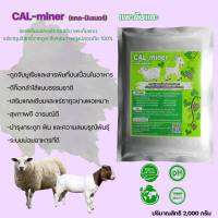 แคลมินเนอร์Cal-Miner2000กรัมอาหารเสริมแพะแกะ แคลเซียมและแร่ธาตุเสริมแพะแกะบริสุทธิ์จากธรรมชาติ สูตรเข้มข้นเกรดพิเศษสำหรับแพะแกะโดยเฉพาะ