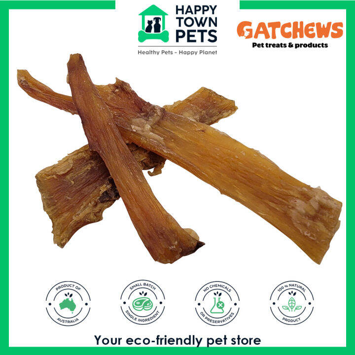 Gatchews Beef Paddywack Tendon Dog Chews Dog Treat Dogs Single