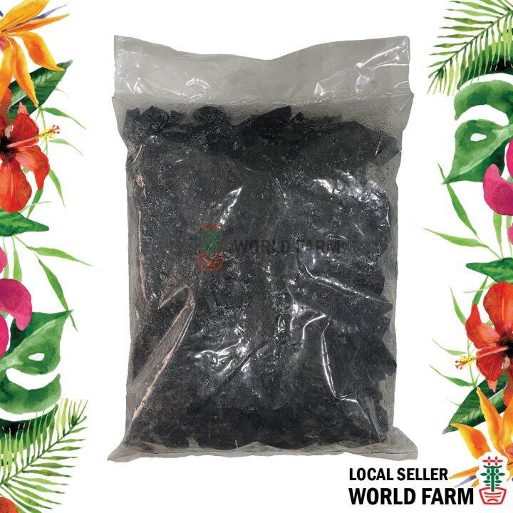 Large Charcoal for Gardening, Orchid Charcoal Chip 1.9KG Lazada Singapore