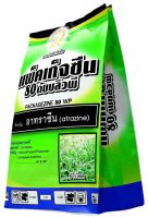 หญ้าไม่งอก คุมหญ้า คุมหญ้าข้าวโพด อ้อย สับปะรด คุมเมล็ดหญ้า คุมวัชพืช ก่อนงอก ไม่ให้งอก อาทราซีน80 ผง ละลายง่าย 1 กิโลกรัม ?ถูกชัวร์