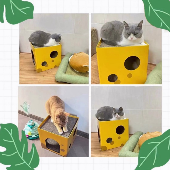 bhq-pet-cod-ที่ข่วนเล็บแมว-ของเล่นแมว-อุปกรณ์สำหรับสัตว์เลี้ยง-พร้อมแผ่นลับเล็บ-กล่องลับเล็บชีส-ลับเล็บได้-2-ชั้น