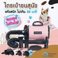 PON ปัตตาเลี่ยนตัดขนสุนัข ไดร์เป่าขน 2800W รุ่นใหม่ ไดร์ขนสุนัข ไดร์เป่าขนแมว เครื่องเป่าขน ไดร์ไล่น้ำ QUICK DRYING ตัดขนหมา บัตตาเลี่ยนตัดขน แบตตาเลี่ยน