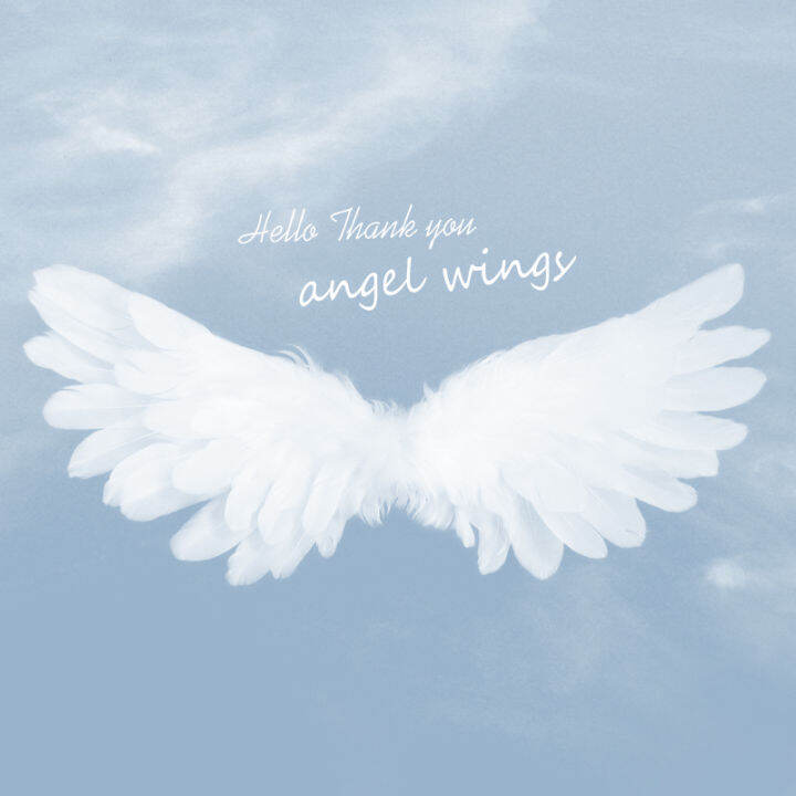 3d Angel Wings Feather Wallpaper Milk Tea Shop Dance Classroom wall