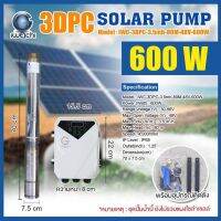 IWACHI ปั้มซัมเมอร์ส มอเตอร์บัสเลส DC 600W บ่อ3” น้ำออก 1.25นิ้ว