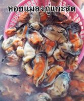 หอยแมลงภู่แกะ สด ใหม่ ทุกวัน  อาหารทะเล อาหารแห้ง อาหารทะเลสด อาหารสด -  Hunter Seafood