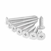 10/50pcs CM M2.6 M3 M3.5 M4 M5 M6 A2 304 Stainless Steel Cross Phillips Super Ultra Thin Flat Wafer Head Self-tapping Wood Screw Nails Screws  Fastene