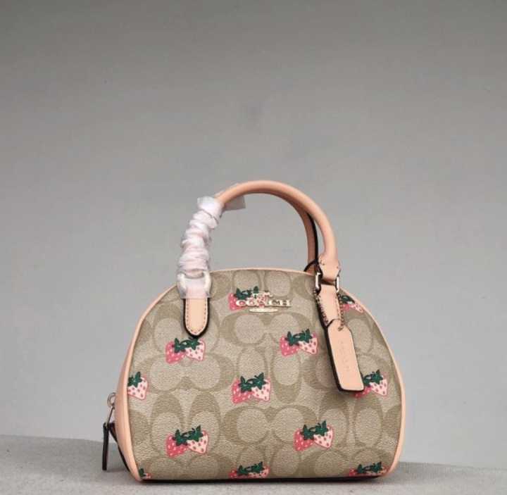 Coach Sydney Satchel in Signature Canvas with Strawberry Print