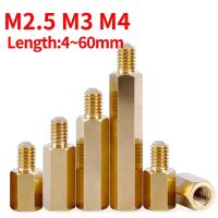 M2.5 M3 M4 Brass Threaded Post Hexagonal Nut Pitch Screw Pillar PCB Computer Motherboard Isolation Board Spacer Nails Screws  Fasteners