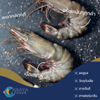 อารยา ฟู้ดส์ กุ้งลายเสือ ไซส์ 8-10 ตัว/kg ขนาด 250g สด ใหม่ จากปราณบุรี