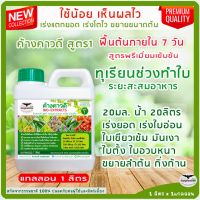 ทุเรียนช่วงทำใบ เอาใบ เพิ่มใบ ใบใหญ่หนาเขียวเข้มมันเงา ค้างคาวดี(สูตร1)1ลิตร เร่งยอด ปุ๋ยน้ำทางใบ บำรุงสะสมอาหาร ปุ๋ยฉีดบำรุงทุเรียน