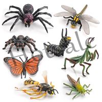 【hot sale】 ▩▧⊙ B32 Simulation Insect Animal Series Butterfly Spider Small Model Early Education Children Toy