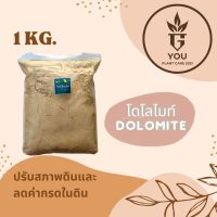 Dolomite for plants (Soil rehabilitation)โดโลไมท์ สำหรับพืช ปรับสภาพค่าดินให้เป็นกลาง ลดค่ากรดในดิน