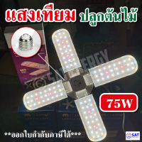 พร้อมส่งJMF ไฟปลูกต้นไม้ LED Grow Light ไฟใบพัด 75W 165W ไฟต้นไม้+(แถมขั้วสาย 4ม.) **สายเขียวห้ามพลาด**