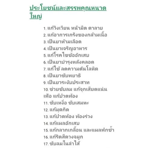 hot-ใบหนาด-หนาดใหญ่-ต้นหนาด-ไร้สารเคมี-ไม้มงคล-กันผี-ใบหนาดสด-กันคุณไสย-สมุนไพรไทย-ริดสีดวงจมูก-บำรุงผิว-แผลอักเสบ-ส่งด่วน-พรรณ-ไม้-น้ำ-พรรณ-ไม้-ทุก-ชนิด-พรรณ-ไม้-น้ำ-สวยงาม-พรรณ-ไม้-มงคล