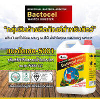 สารทำน้ำใส BACTOCEL แบคโตเซล 5001 5 ลิตร รักษาน้ำในบ่อ น้ำใส น้ำมีกลิ่นเหม็น จุลินทรีย์น้ำใส บ่อปลา ป้องกันโรค และ น้ำขุ่น น้ำเขียว น้ำเน่า