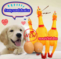 （พร้อมส่ง）ไก่โอ้กๆ ไก่ของเล่น ของเล่นไข่มีเสียง ของเล่นบีบรูปไก่มีเสียง ของเล่นสัตว์เลี้ยง ของเล่นแมว ของเล่นสุนัข