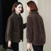 CXSC Store ฤดูหนาวใหม่ Haining Sheep Shearing Fur Coat ผู้หญิงสั้นอนุภาคกำมะหยี่แกะเสื้อขนสัตว์เกาหลี Version