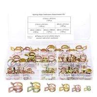 60pcs Fuel Line Clamp Spring Band Type Hose Pipe Clip Fasteners Kit Corrosion Resistant Fastener Assortment Kit