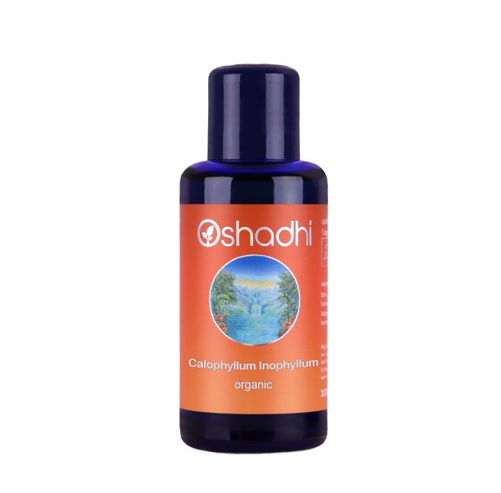 Oshadhi น้ำมันต้นกระทิงออร์แกนิค Calophyllum Inophyllum Oil, Organic (30 ml)