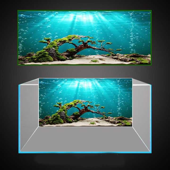 Những hình ảnh phông nền 3D hồ cá sẽ khiến bạn cảm thấy như đang đứng trước một hồ cá thật sự. Với độ sâu và sự chân thật của hình ảnh, bạn như bước vào một thế giới của những con cá đầy sắc màu.