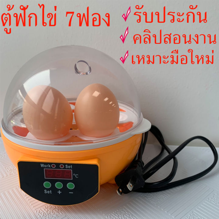 ส่งฟรีด่วน-ตู้ฟักไข่ถูกๆ-7-ฟอง-เครื่องฟักไข่-ตู้ฟักไข่ไก่-เครื่องฟักไข่อัตโนมัติ-ตู้ฝักไข่ไก่-เครื่องฟัก-อัตโนมัติ-ไข่ไก่-นก-รับประกัน