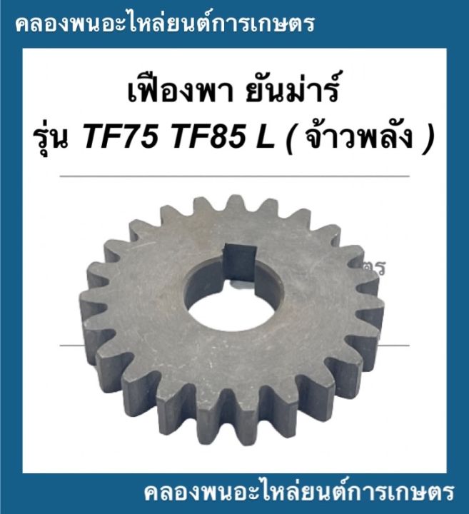 เฟืองพา-เฟืองสตาร์ท-ยันม่าร์-รุ่น-tf75-tf85-l-จ้าวพลัง-เฟืองพาtf75-เฟืองสตาร์ทtf85-เฟืองพาtf75-เฟืองสตาร์ทtf-เฟืองพาtf-เฟืองสตาร์ทยันม่าร์