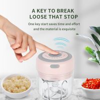 Mini Electric Vegetable Garlic Chopper Food Processors Multifunction Ginger Meat Grinder USB Rechargeable Blender Kitchen Gadget