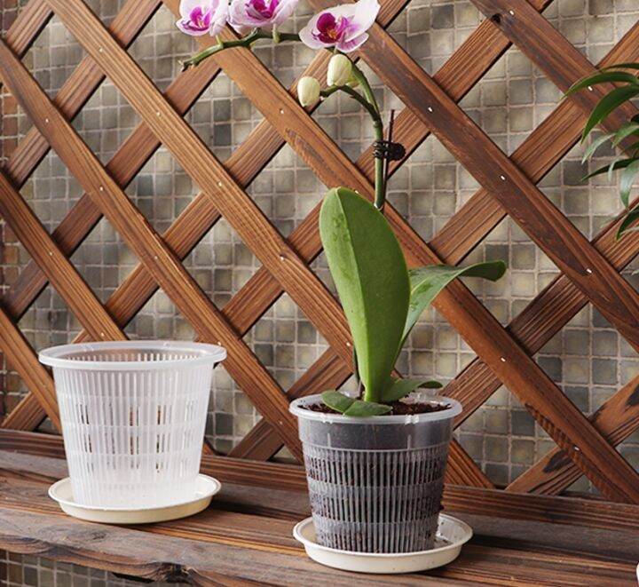 cc-root-controlled-transparent-flowerpot-for-cattleya-planting-with-stomata-home-decoration-plastic