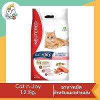 Cat n Joy อาหารแมว แค็ท เอ็นจอย แมวโต สูตรทำหมัน รสแซลมอน 1.2 Kg.