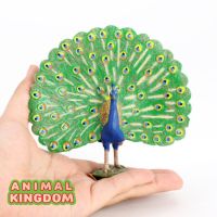 Animal Kingdom - โมเดล Peacock นกยูง ขนาด 12.00 CM (จากสงขลา)