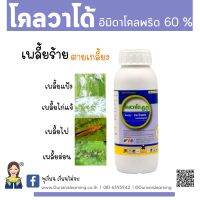 อิมิดาโคลพริด ชนิดน้ำเข้มข้น 60 % ยาเย็น กำจัดเพลี้ยไฟ เพลี้ยจั๊กจั่น เพลี้ยไก่แจ้ ขนาด 500 ซีซี