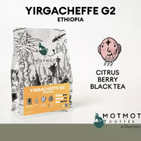 Ethiopia Yirgacheffe G2 (Washed) | Omni Roasted | เมล็ดกาแฟคั่ว MOTMOT COFFEE