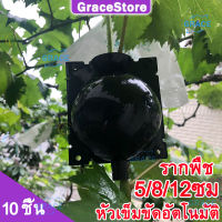 【Grace】10 ชิ้น -5/8/12ซม.การปลูกถ่ายอวัยวะกล่องพืชการรูทเติบโตกล่องปลูกพืชแรงดันสูง Propagation Ball Layering Pod เครื่องมือต้นอ่อนอุปกรณ์ทำสวน อุปกรณ์ตอนกิ่ง