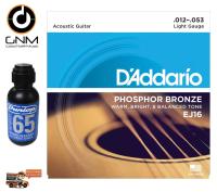 DAddario® สายกีตาร์โปร่ง เบอร์ 12 แบบ Phosphor Bronze ของแท้ 100% รุ่น EJ16 (Light, 12-53)  แถม น้ำยาทำความสะอาดสายกีตาร์ รุ่น Ultraglide 65 ** Made in USA **