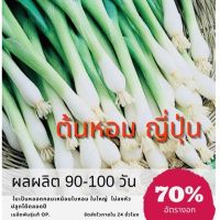 ซื้อหนึ่งแถมหนึ่งเมล็ด 50 เมล็ด (ไม่ใช่พืช)เมล็ดพันธุ์ ต้นหอมญี่ปุ่นเมล็ด ต้นหอม