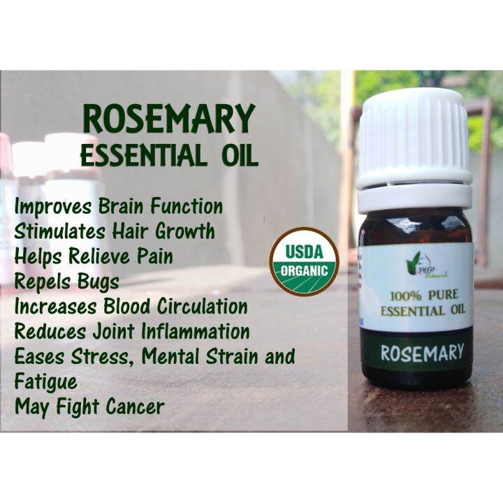 Rosemary Essential Oil for acne stretch marks eczema dermatitis
