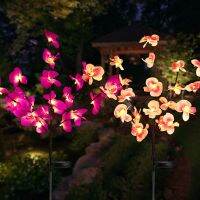 Solar Flower Lantern Phalaenopsis Garden Outdoor Waterproof LED Lawn Decoration Lamp