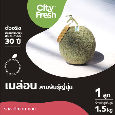 CityFresh เมล่อน (พันธ์ญี่ปุ่น) 1 ลูก #บริการจัดส่งเฉพาะในเขตกทม.เท่านั้น