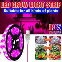 USB Phyto โคมไฟเต็มสเปกตรัมการเจริญเติบโตของพืชแสง Led เติบโตแถบแสงเรือนกระจก Phytolamp สำหรับพืชไฮโดรโปนิระบบการเจริญเติบโต