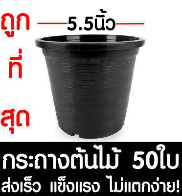 กระถางต้นไม้ กระถางพลาสติก ขนาด 5.5 นิ้ว 50ใบ กระถางกลม กระถางต้นไม้พลาสติก กระถางปลูกต้นไม้ กระถางดำ กระถางพลาสติกดำ Flower pot