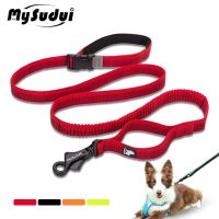 Truelove Free Hand Dog Leash No Pull Retractable 2 Handles Padded Heavy Duty Long Black Dog Lead Nylon Strong Raining Extendable