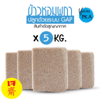 ของแท้ ข้าวกล้องกข43 แท้ 100% ข้าวน้ำตาลต่ำ 泰国大米品种编号43 RD43 Rice variety Low GI ตราหอมผกาบรรจุ 5 kgs./ ลัง) brownrice ข้าวกล้อง ไม่ติดฉลาก พรีเมี่ยม