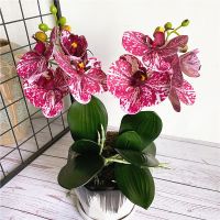 4Heads/branch Orchid mini branch with stem leaves Artificial Flowers Butterfly Orchid for Home Wedding Decoration flores