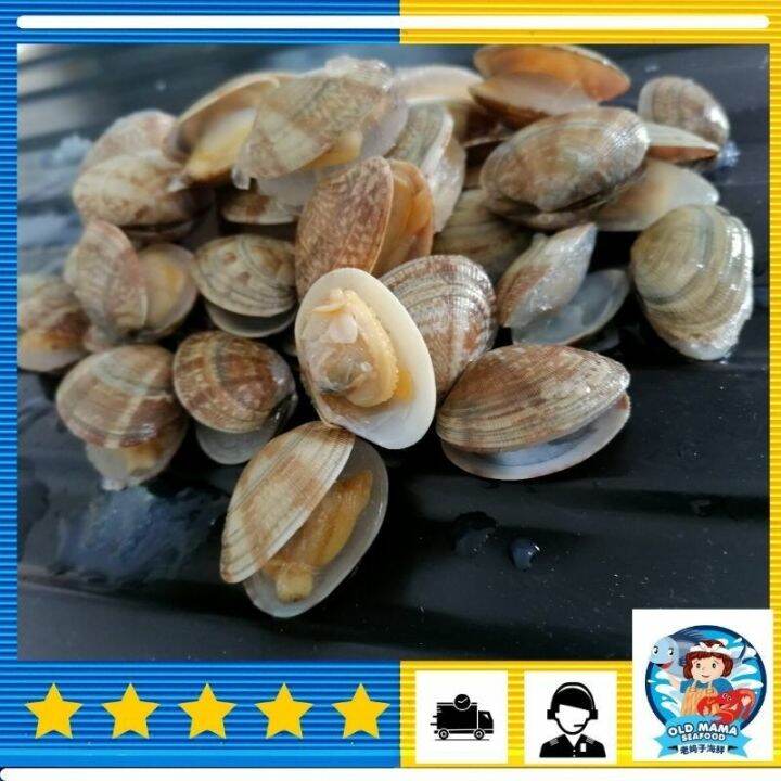 Asari Short Neck Clam / 花蛤啦啦 (500gm/pk) Lala Kepah Fresh Makanan Laut ...