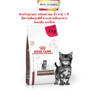 ด่วนโปร ส่งฟรี [2kg-Exp08/22] Royal Canin Gastrointestinal Kitten อาหารสำหรับลูกแมวหลังหย่านมถึงอายุ1ปีมีความผิดปกติที่ระบบทางเดินอาหาร