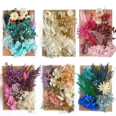 【CC】 1Pack Colorful Preserved Dried Flowers for Resin Casting Mold Jewelry Making Crafts Wedding Invitation Decoration