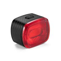 ROCKBROS Smart Bicycle Brake Light IPx6 Taillight Type-C Bike Tail Rear Light Auto Stop LED Riding Warning Safety Light