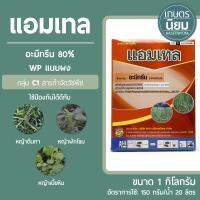 แอมเทล (อะมีทรีน 80% WP แบบผง) 1 กิโลกรัม