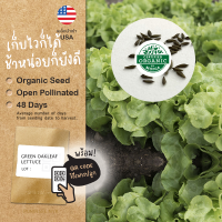 เมล็ดผักนำเข้า กรีนโอ๊ค Green Oakleaf (Organic Seed) Lettuce Salad ผักสลัด